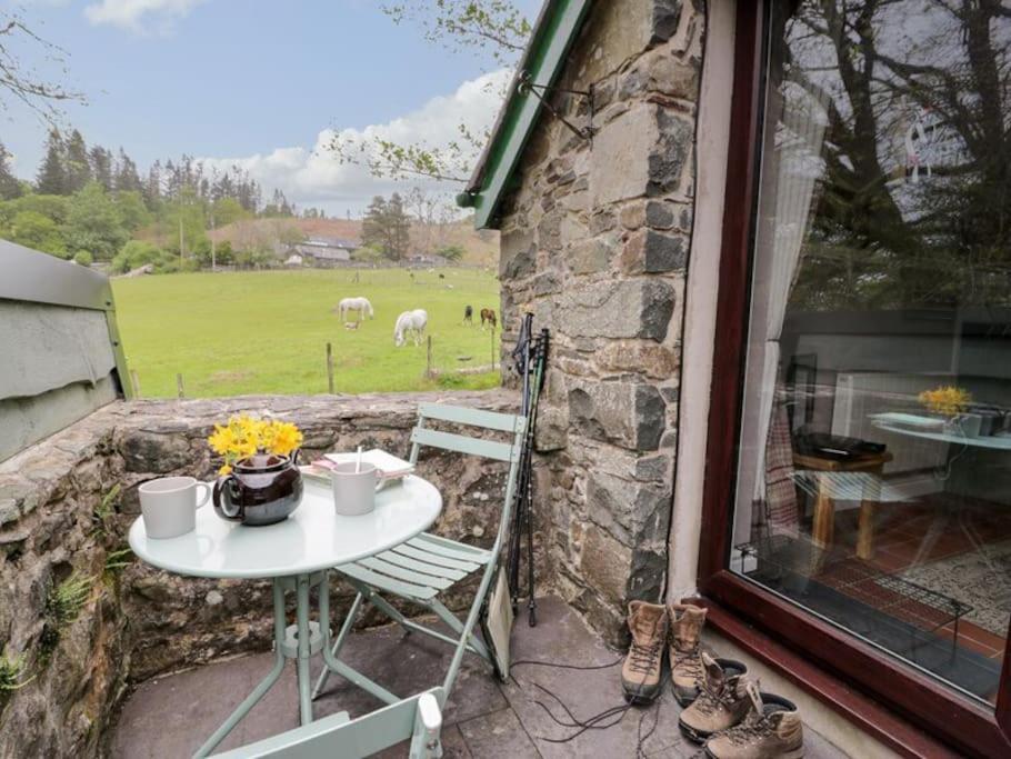 Y Gribyn - Modern Stone Cottage Within Snowdonia'S National Park Долгелай Екстер'єр фото