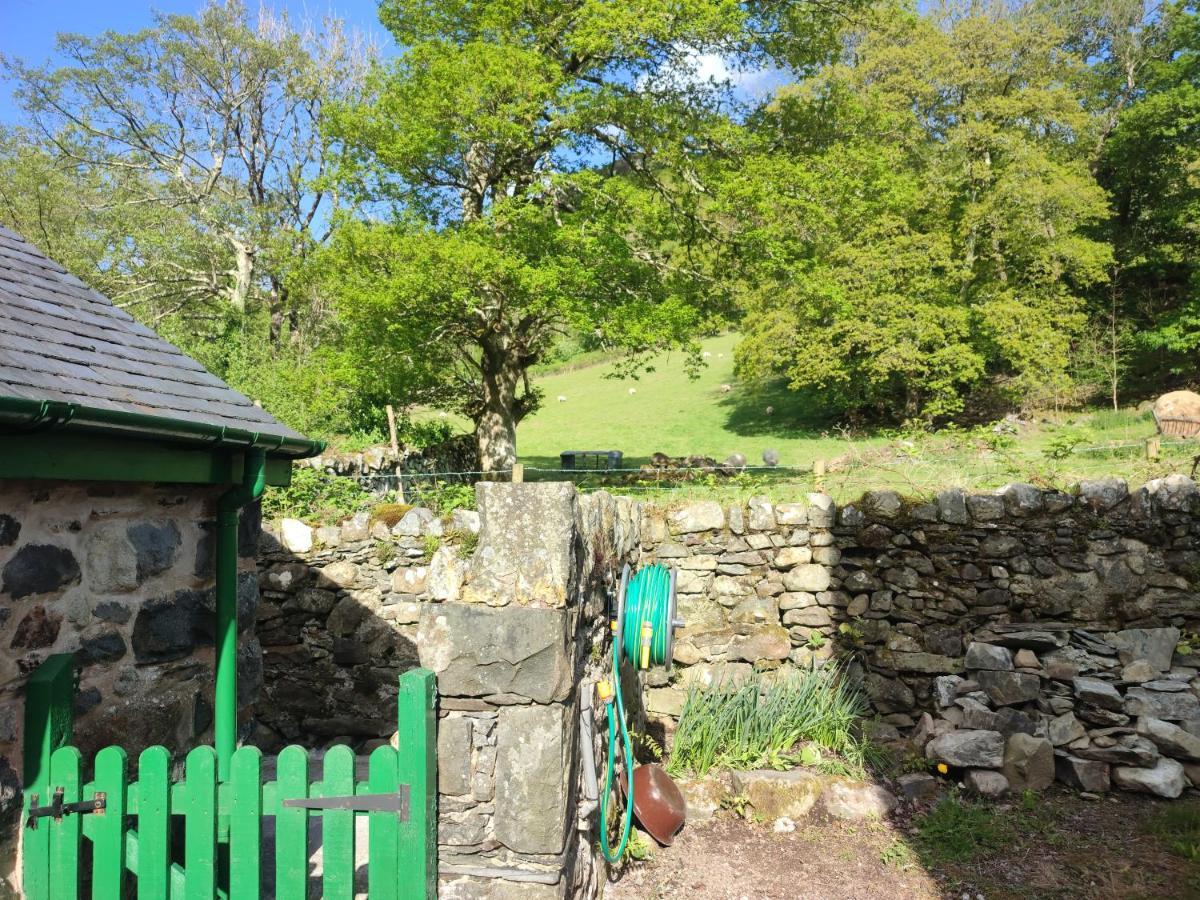 Y Gribyn - Modern Stone Cottage Within Snowdonia'S National Park Долгелай Екстер'єр фото