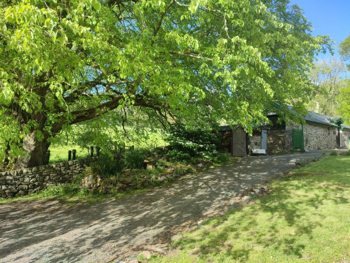 Y Gribyn - Modern Stone Cottage Within Snowdonia'S National Park Долгелай Екстер'єр фото